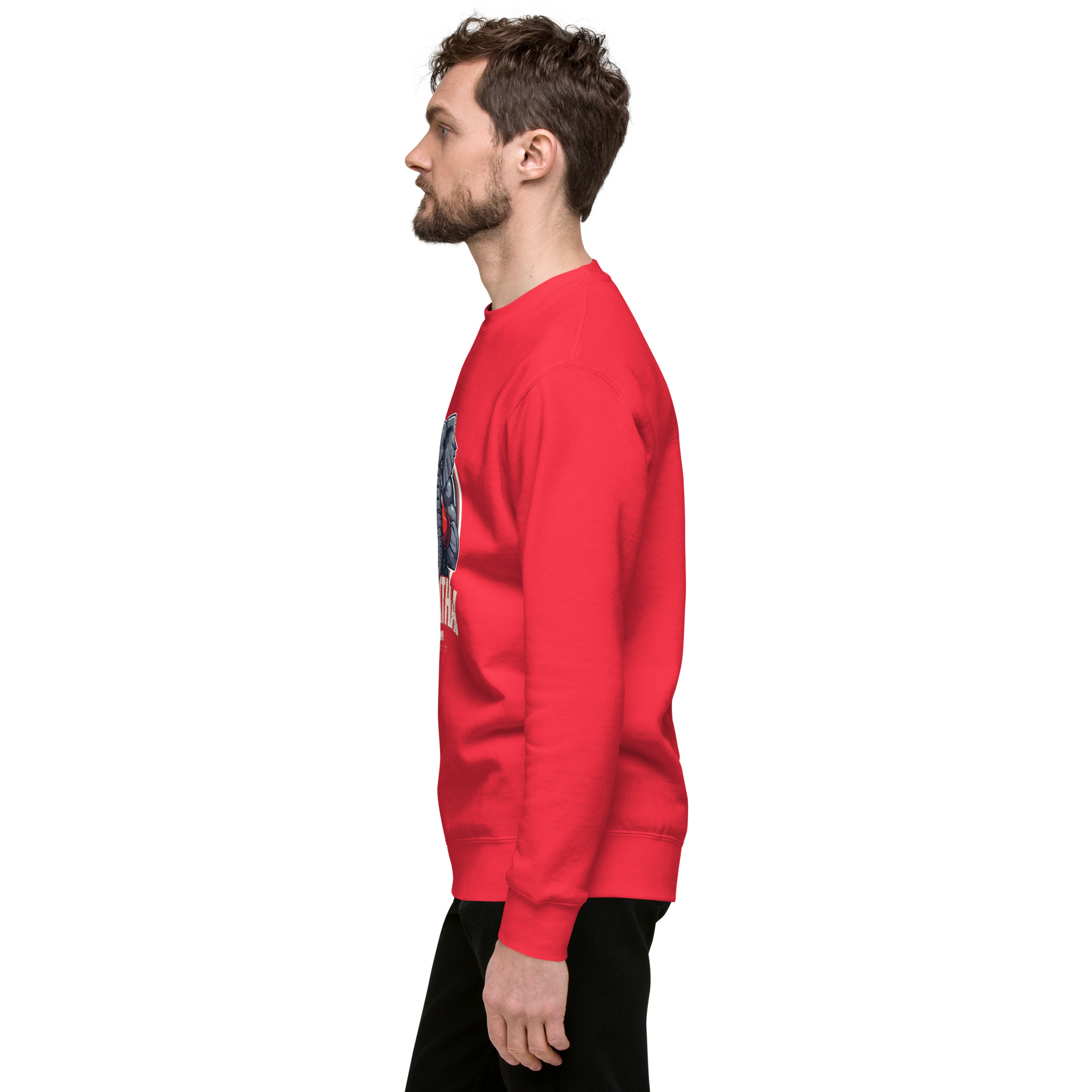 Sweatshirt premium MOX THAI Boxing 2025‑2026 – Image 49